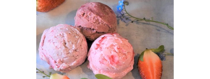 Simple Nice Cream