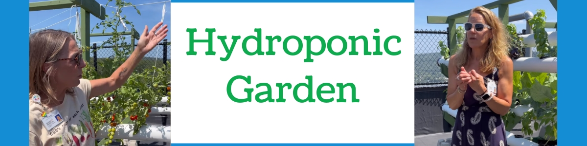 Hydroponic Garden