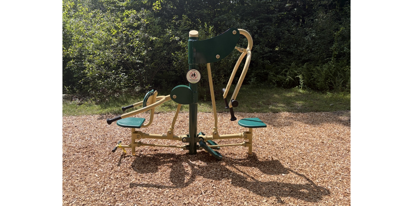 Two-Person Back & Arms Combo Exercise Equipment